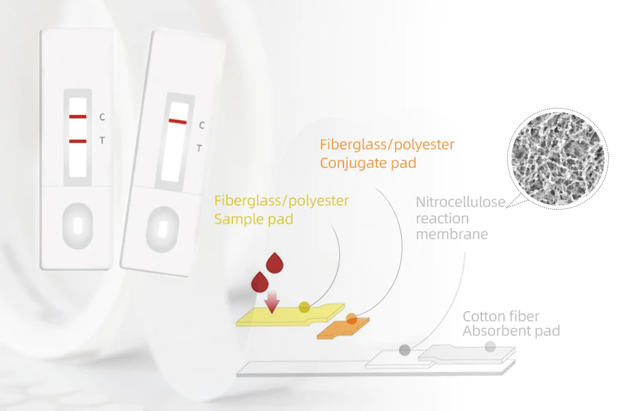 Cobetter NC Membrane: Elevating Immunochromatography for Mycoplasma Pneumoniae Detection