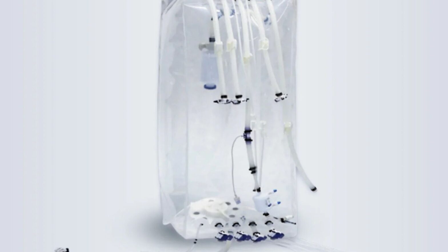Lifecask™ RG Single-Use Bioreactor Bags — scale confidently from R&D to commercial runs