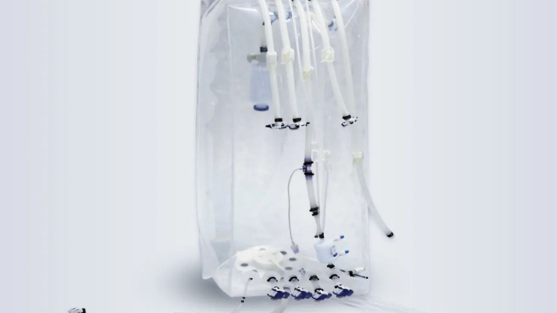 Lifecask™ RG Single-Use Bioreactor Bags — scale confidently from R&D to commercial runs