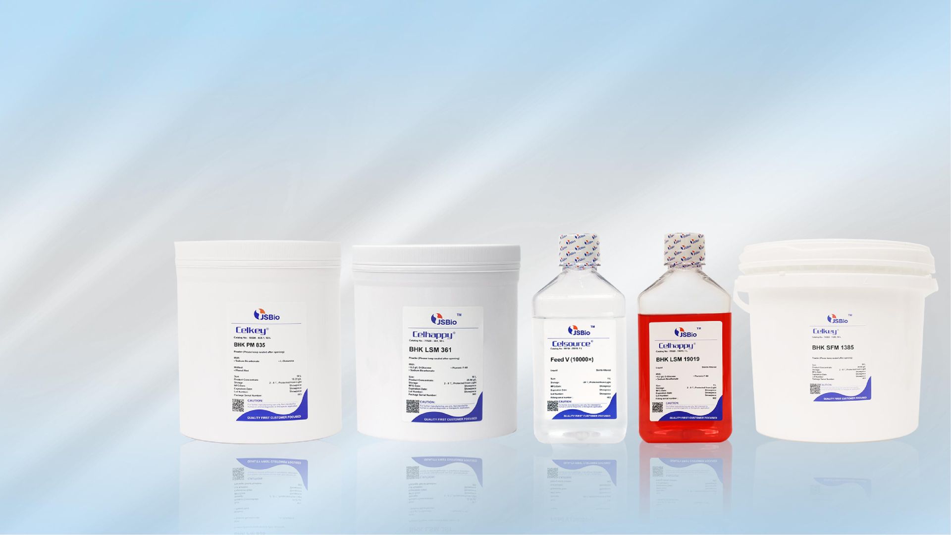 BHK-21 Cell Lines: Essential Tools for High-Yield Virus Vaccine Production