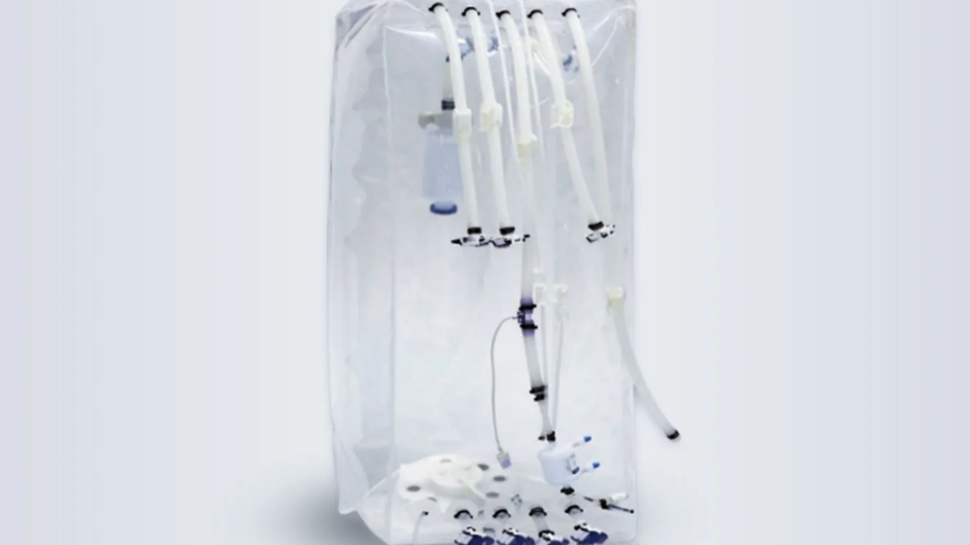 Single-Use Bioreactor Bags: Accelerating Modern Biopharmaceutical Manufacturing